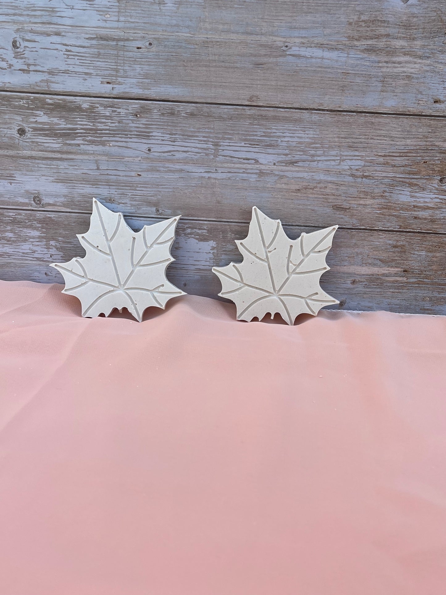 Sous-Verres Feuilles