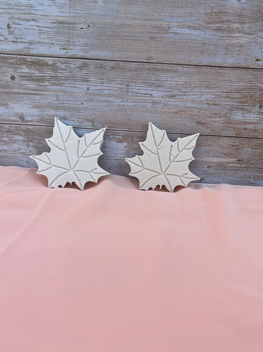 Sous-Verres Feuilles